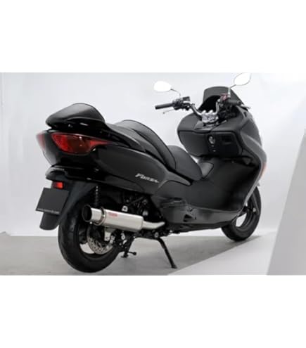 Amazon | リアライズ(Realize) ROSSO マフラー ライネス 110φ