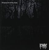 Fragments of the dark