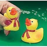 Rubber Duck Squirts (1 dz) by Fun Express [並行輸入品]