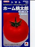 トマト ホーム桃太郎 タキイ交配 (グリーンデポ)