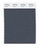 Pantone 19-4215 TCX Smart Color Swatch Card, Turbulence [並行輸入品]