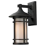Z-Lite 528M-ORB Outdoor Wall Light with Aluminum Frame, Matte Opal by Z-Lite [並行輸入品]