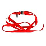 Fenteer メタル　カムバックル付き　タイダウン　ストラップ　200Kg負荷容量　カヤック　荷物　自転車用　全2色　3長さ選択 - レッド, 2.5m