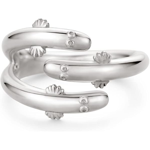 終遠のヴィルシュ シアン・ブロフィワーズ モチーフリング シルバー925