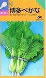 【種子】博多べか菜　8ml