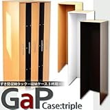 すき間収納 専用枠 収納ラック 縦長収納庫 すき間収納ラック GaP 専用枠 収納ケース3杯用 送料無料