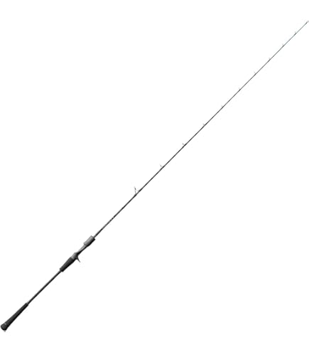 新品未使用 テンリュウ ホライゾンLJ HLJ631B-FL ライトジギング ロッド 釣竿 ジギング TENRYU 天龍/TENRYU ホライゾンLJ HLJ622S-ML HORIZON LJ ライト