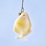 熱帯魚 チョウチョウオ 夜光貝 シェル 根付 銀色紐