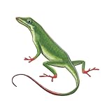 Wild Life Animals Wall Sticker Mural Lizard by Instant Murals