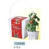 アーテック ベジコンテナ 102948 トマト