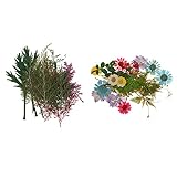 D DOLITY 約54個　魅力　天然　実花　DIY手芸　押し花　手作り　カード　電話ケース装飾　乾燥した花　混合