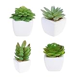 WINOMO 人工観葉植物 人工多肉植物 ミニ 造花 光触媒加工 オフィス 屋内 インテリア フェイク 植物 可愛い 枯れない 4個セット