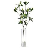 GREENPARK ホワイトチーズウッド ガラスシリンダー H50 造花 フェイクグリーン