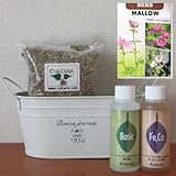 マロウの栽培セット/豊作セット（液体肥料付き）プランターホワイト仕様