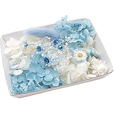 Amazon.co.jp ほしい物ランキング: ドライ・プリザーブドフラワー で