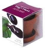 タイニィタイニィプラント コナス