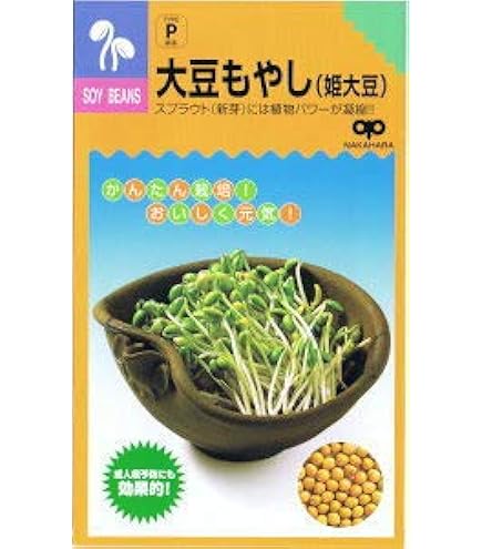 もやし Amazon | サラダコスモ 自由研究 緑豆もやしの種 53ml | サラダ