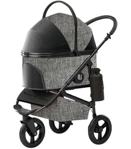 Amazon.co.jp: [Mercedes-Benz Collection] Genuine Mercedes-Benz x