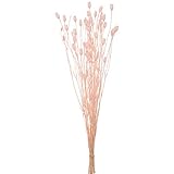 東京堂　ドライフラワー フローレンシア (20ｇ入)　＃ミルキーピンク FD004575-046