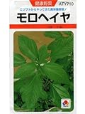 モロヘイヤ タキイのモロヘイヤ種です
