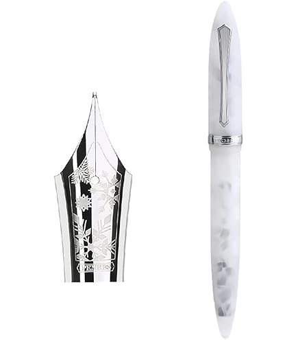 Amazon | Penbbs 355ピストン充填万年筆ファインペン先