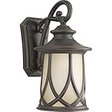 Progress Lighting P5988-122 Resort Collection 1-Light Wall Lantern, Aged Copper [並行輸入品]