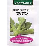 [春・秋まき野菜タネ]食用アイスプラントの種　2袋セット（人気沸騰中の野菜）* ノーブランド品
