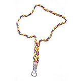ポンチーズ  Pomchies アメリカ発 IDカードホルダー チアリーダーのポンポンのようなカラフルで可愛いデザイン PomLanyard フィエスタライト