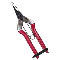 41TMr4slPwL._AC_UL210_SR210,