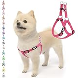 PUPTECK 犬 ハーネス 迷子札 犬 胴輪 犬用ハーネス 喉に優しいハーネス ペット用品 ドッグ はーねす 調節可能 着脱簡単 軽量 通気性 快適 負担が少ない 耐久性 引っ張り防止 安全 夜間反射 IDタグ付き 散歩 アウトドア しつけ 訓練 人気 可愛い おしゃれ 小型犬 中型犬 大型犬（反射ピンク、Sサイズ）