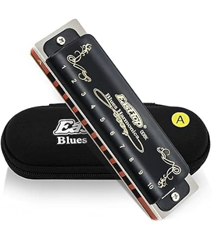 Amazon.co.jp: HOHNER ホーナー ブルースハープ A調 532/20MSX : 楽器