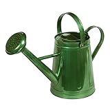 東洋石創　プラントアイテム　Waterring　Can　ジョウロ　　●81526 グリーン