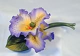 カポディモンテOrchidバイオレットと分岐