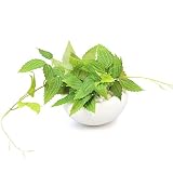 GREENPARK テッセンソウ 白陶器S 白玉石 造花 フェイクグリーン