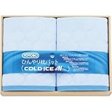 『内祝 お返し 快気祝 引き出物 結婚内祝 出産内祝 引越 ご挨拶などに人気の商品』　東洋紡　ひんやり枕パット2P　【のし・包装可】