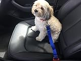 BSIブルー調整可能実用的車安全シートベルトリーシュペットアクセサリーを