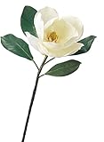 asca 造花 マグノリア ホワイト