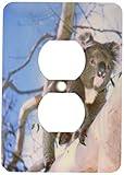 3drose LLC lsp _ 70240 _ 6 ISL、コアラ、オーストラリア、カンガルーeucalypytus treeau01 psk0146ピーター・スキナー2プラグコンセントカバー