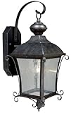 Vaxcel T0018 Sonnet 8-3/4" Outdoor Smart Light, Gold Stone by Vaxcel [並行輸入品]