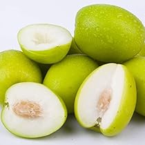 41TVurnqfeL._AC_UL210_SR210,