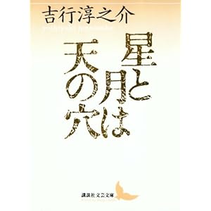 星と月は天の穴 (講談社文芸文庫)の表紙