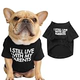 AmzBarley 犬服 春夏 Tシャツ シンプル 英文字プリント 無地 丸首 綿製 柔らかい 通気性 伸縮性 おしゃれ 可愛い 犬 猫 ドッグウェア Tシャツ 春夏 ファッション 小型犬 中型犬 猫服 上着 薄手 涼しい ルームウェア お出かけ 防虫 抜け毛防止 ブラック