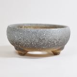 盆栽妙 信楽焼 盆栽鉢 5号 鉄鉢白雪 幅15cm×高さ7cm 陶器製 植え替えキット付き 30019A805