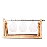 Perfk 木製　トレイ付き　水耕栽培　花瓶　テラリウム容器　卓上花瓶　３タイプ選べる - 3ビーカー