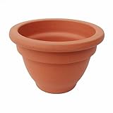 ベルポット 3.5号 植木鉢 穴あり 陶器 ドイツ製