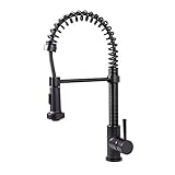 VIGO Edison Single Handle Pull-Down Spray Kitchen Faucet, Matte Black [並行輸入品]