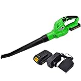 パワー・ランド (powerland) コードレスブロワ　ガーデン・園芸用　充電式　20V 2.0Ahリチウムイオン電池1個　充電器1個　B001