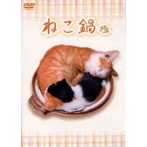 猫鍋事件の真相を語るbnkrg姉貴 ニコニコ動画