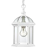 Nuvo Lighting 60/4977 Boxwood One Light Hanging Lantern 100 Watt A19 Max. Clear Beveled Glass White 