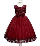 WIN 子供ドレス　女の子　キッズフォーマルドレス　子どもドレスお姫様柄プリントのオーガンジープリンセスドレス [結婚式　発表会　七五三　こどもドレス　子供服　ワンピース (130cm, ワインレッド